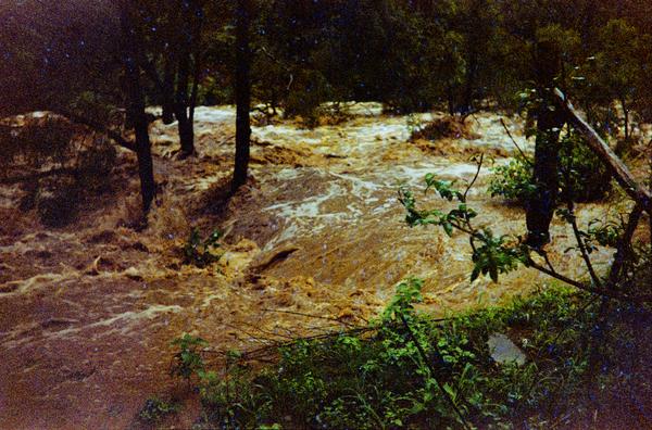 album Kodak Gold III 200